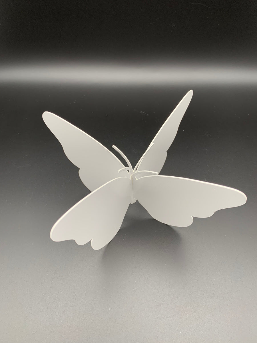 Papillon 3D – Boutique Recycl'In
